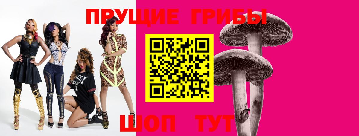 где продают наркотики  Псилоцибиновые грибы GOLDEN TEACHER  Нижнекамск  Вход с VPN  Псилоцибиновые грибы мухоморы 